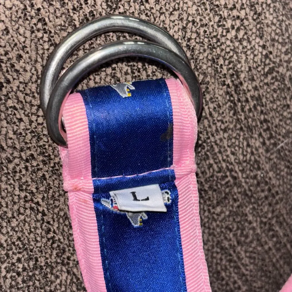 Ribbon Belt D Ring Blue Pink Democratic Donkeys Preppy Size Large Canvas